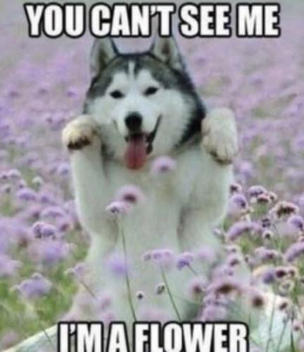 FB_IMG_1744490818800