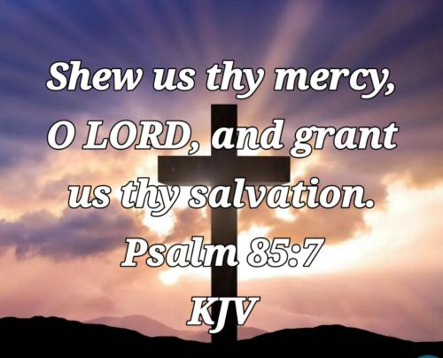 dc87690a-fccc-463c-8b85-e81d8619690e