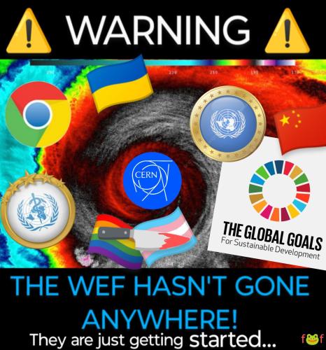 InShot_20250402_155032477~4