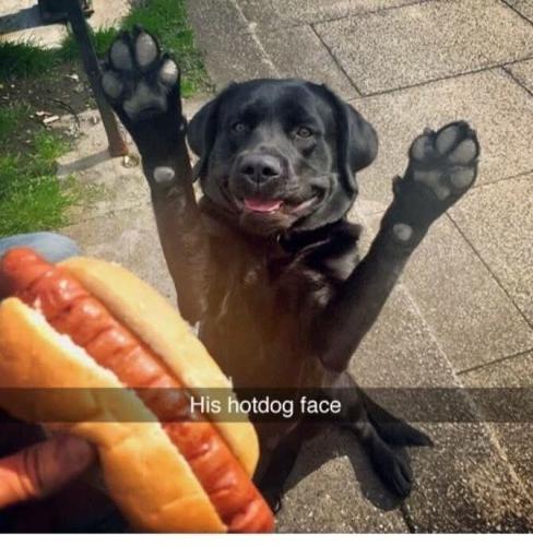 FB_IMG_1745087462151