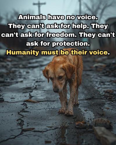 FB_IMG_1740690582087