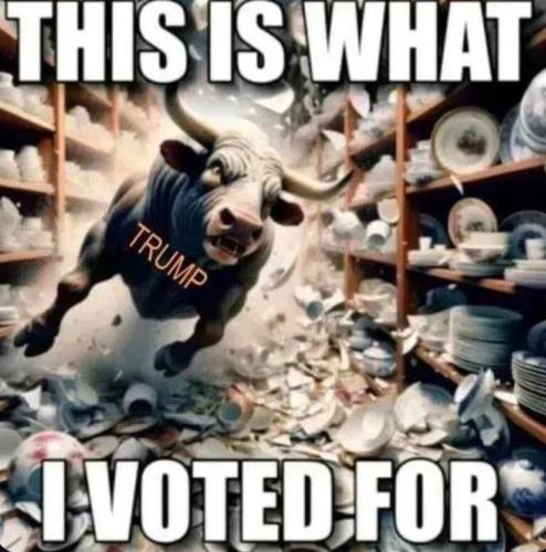 81eae839-fbfe-4c2b-9b28-c187451a7438