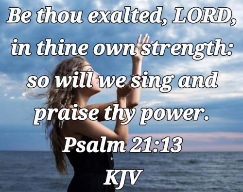 50d41e03-e3ed-4e10-b069-7943df5916a2