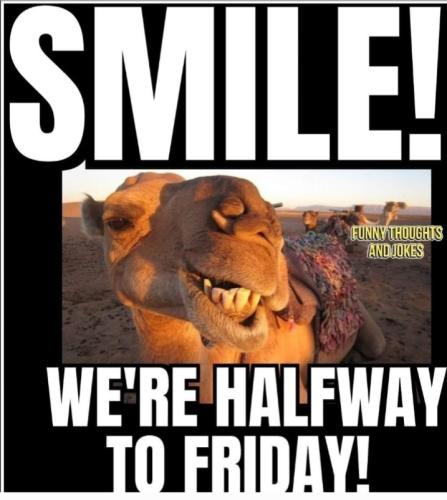 Screenshot_20250416_063813_Gallery