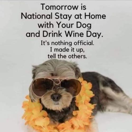 FB_IMG_1745953909430