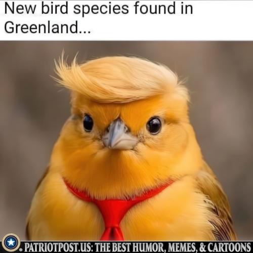 01JRJS6APDE3VRYBKQDBC3A88J