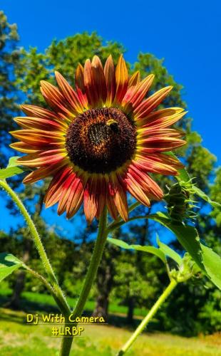 Screenshot_20250405_081714_Gallery