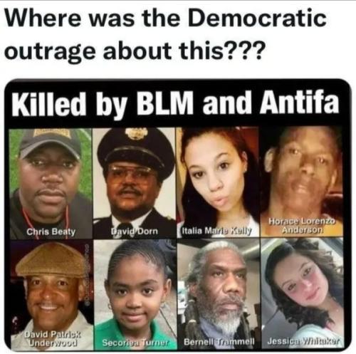 BLM AND ANTIFA KILLS