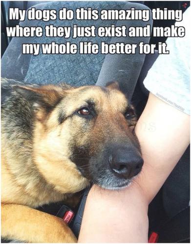 FB_IMG_1745318194266