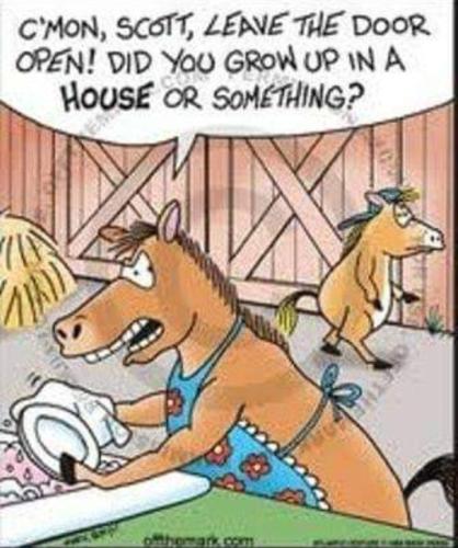 Screenshot_20250401_154009_Gallery