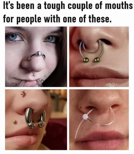 487454479_966070605733145_8205498605803311892_n