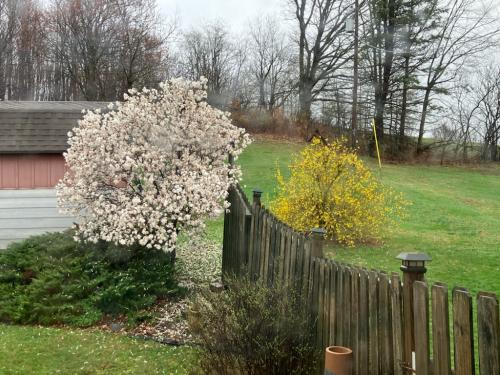 8391FFEB-9A7B-4DB6-BA63-5EAEB06D8E08