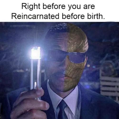 487219966_1478440183419625_6773334324437875237_n