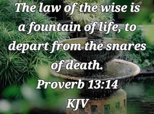 35431ff8-02b1-4057-a61d-972c8d176734