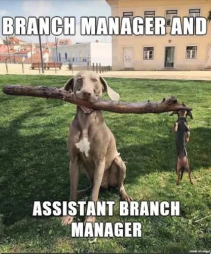 FB_IMG_1744995193296