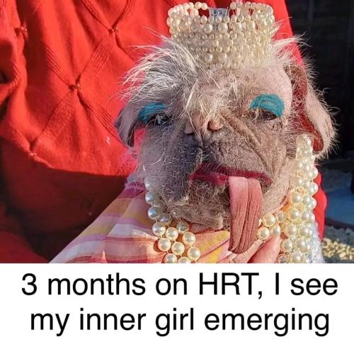 image_EFB4D4A0-A26D-4AB2-9F0A-CA2E96E68382