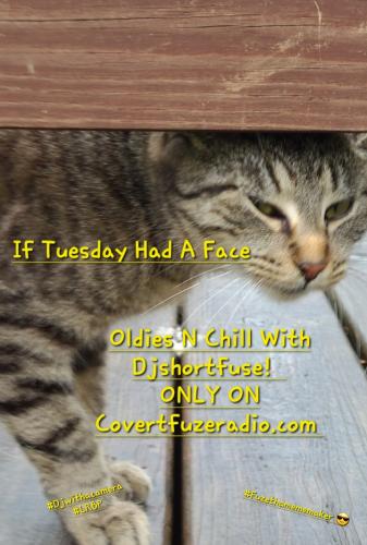 Screenshot_20250408_055631_Gallery