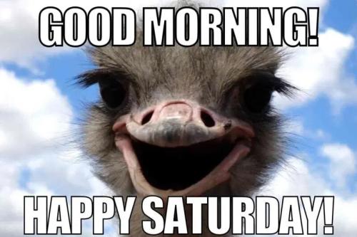 good-morning-happy-saturday-1024x683