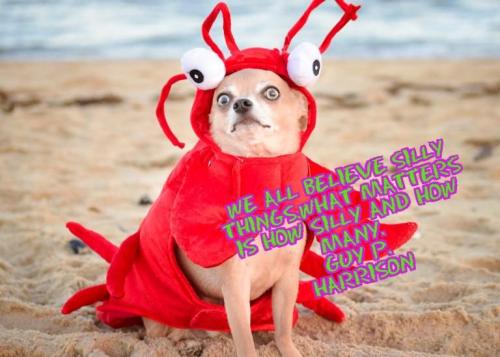 e0c1fc66-8912-4232-b7e1-8f05c14bf198