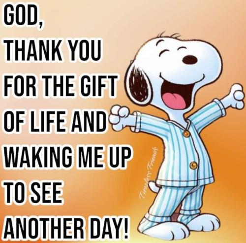 cc55a03cedb6efc2574f83c6cf5fa6ea