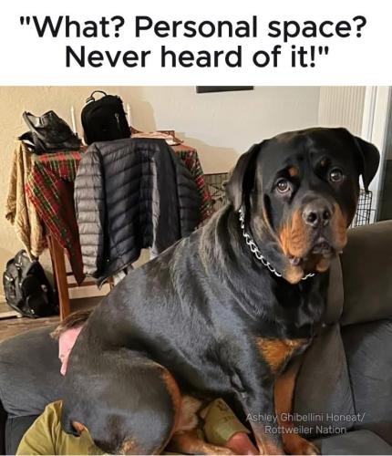 FB_IMG_1745438646086