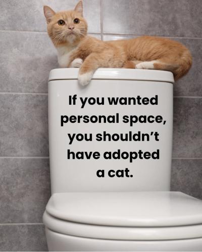 FB_IMG_1745084885644