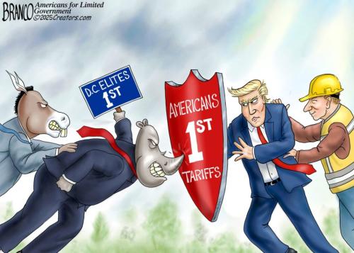 03-rinoshield-dt-1080-1050x750