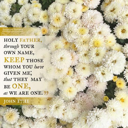 joh-17-11-KJV-pixabay