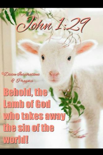 Screenshot_20250414-081927_Facebook