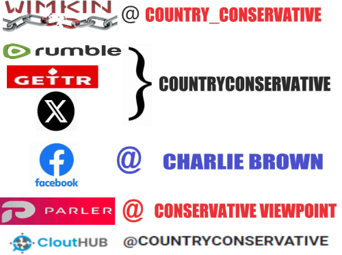 #1 CONSERVATIVE VIEWPOINT STREAMING SITES