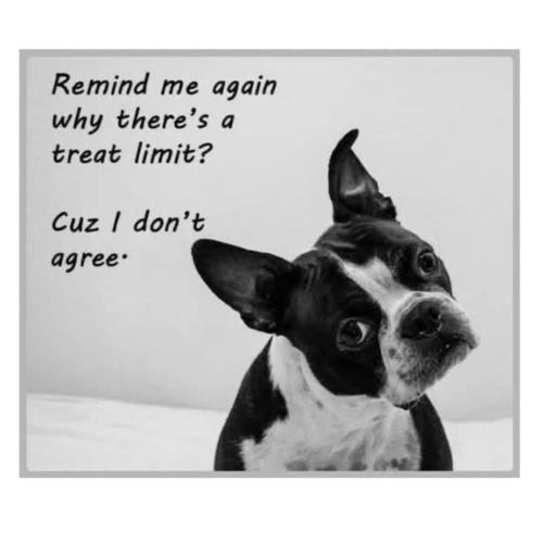 FB_IMG_1744846386986