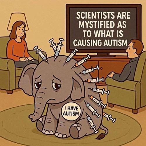 FB_IMG_1745624718201