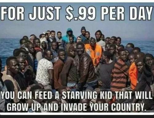 IMG_20250403_043815_636