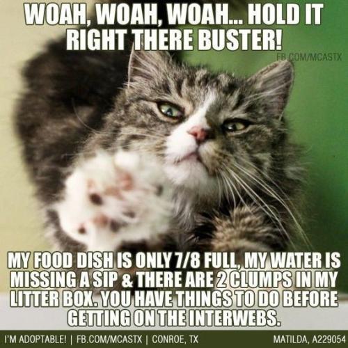 2807e755baa3a8157391186cb6cad43e