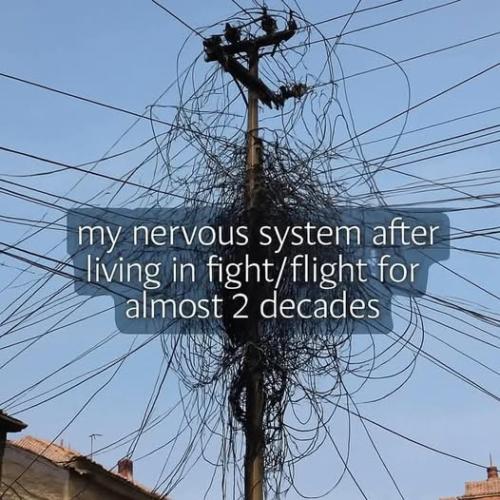 488756828_122145822158385598_6029607162622429317_n