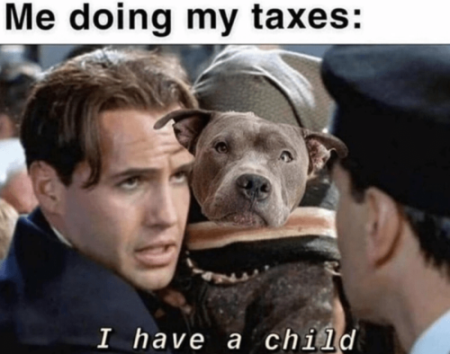 funny-memes-memes-relatable-memes-tax-memes