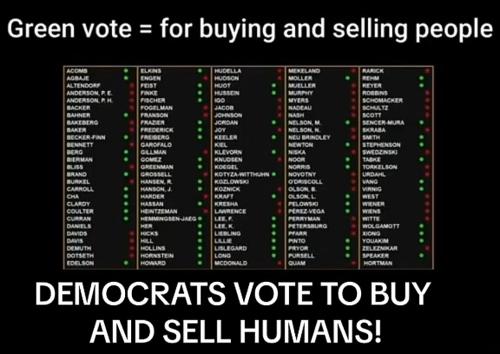 Screenshot from instagram CAPITOL HEARING