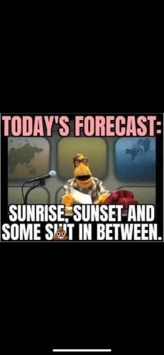 FB_IMG_1744642560744