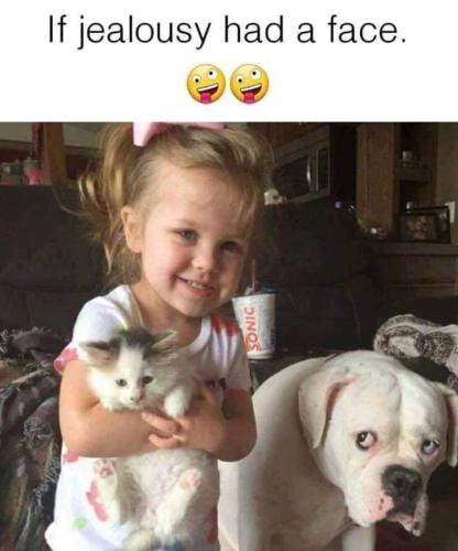 FB_IMG_1553741309975