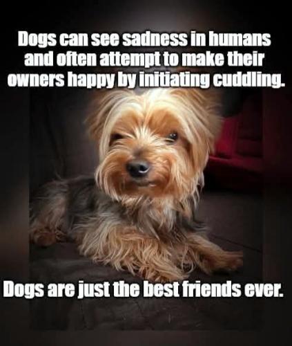 FB_IMG_1745616551360