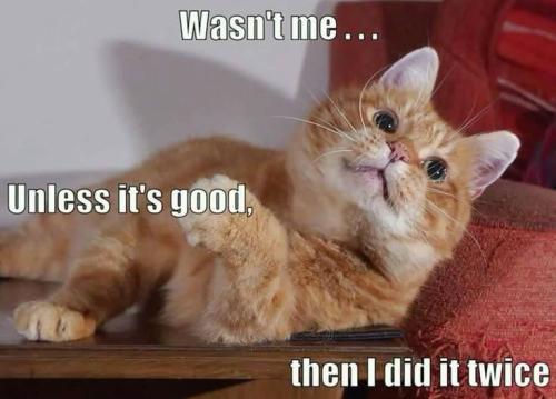 216c4281622238a5500082d3662205b3