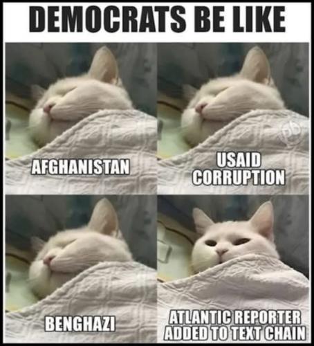 3295F952-D274-4525-A91C-BCA8AF16FD7A