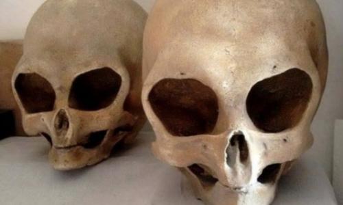 Image 29-03-2024 at 23.01