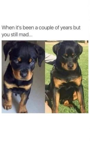 FB_IMG_1744547596215