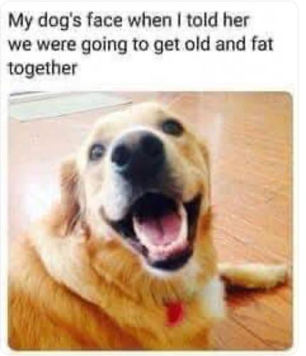 FB_IMG_1744705585791