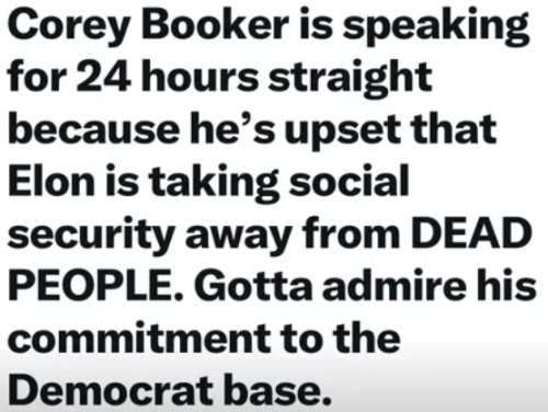 image_2025-04-02_062745588