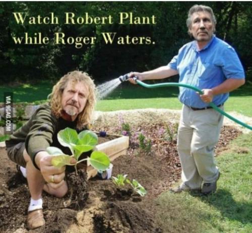 Screenshot_20250419_061134_Gallery