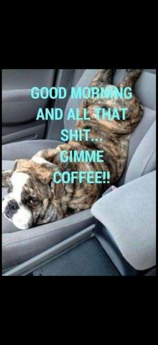 Screenshot_20250405_080907_Photos