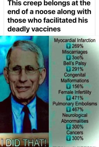 image_A0CCCE2B-9B7D-486F-BC2C-B552D6CCFF01