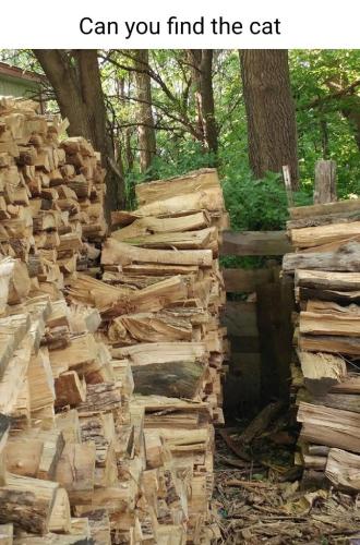 dbf35ddf-c2c9-44d7-82e7-6553db270a78